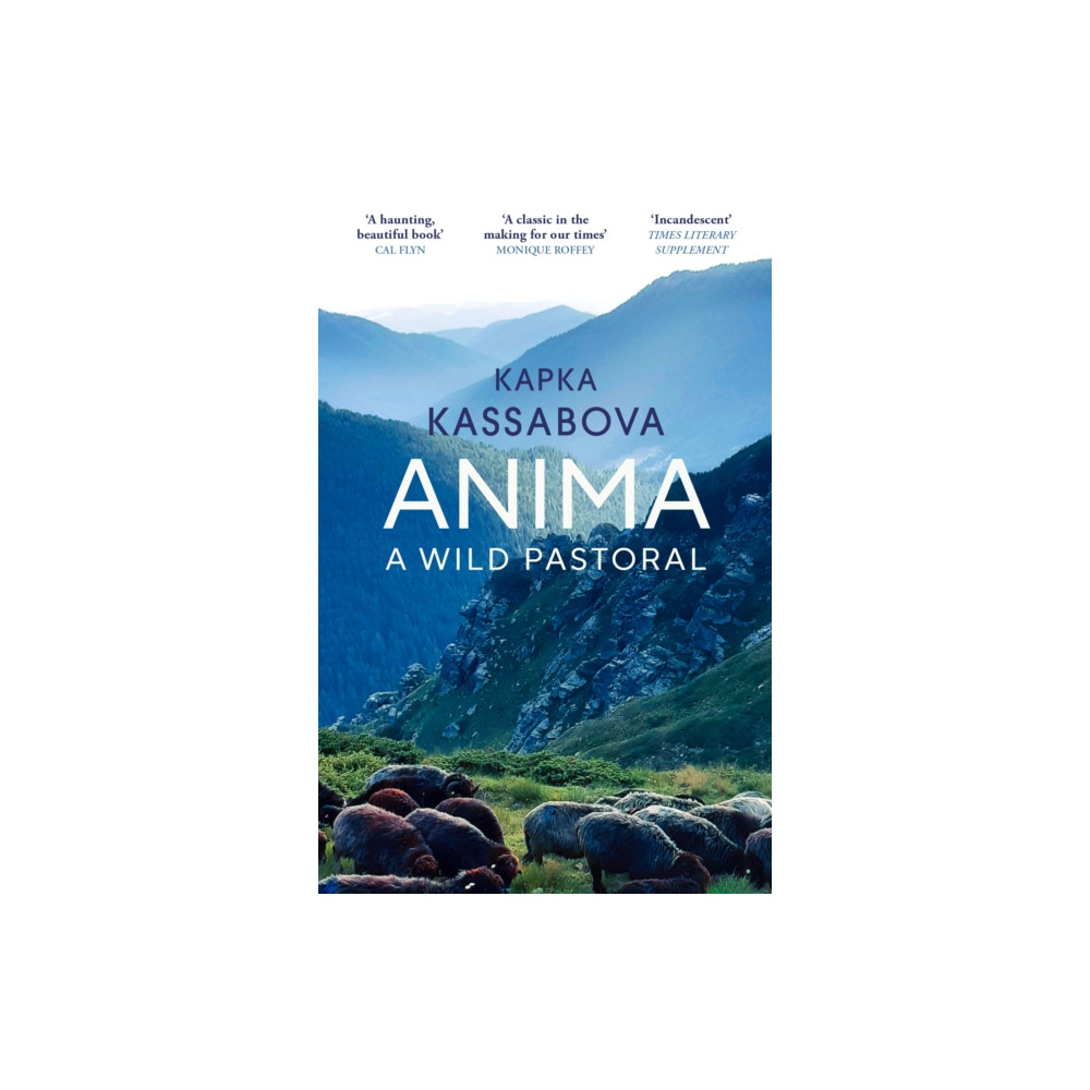 Produktbild för Anima (häftad, eng)