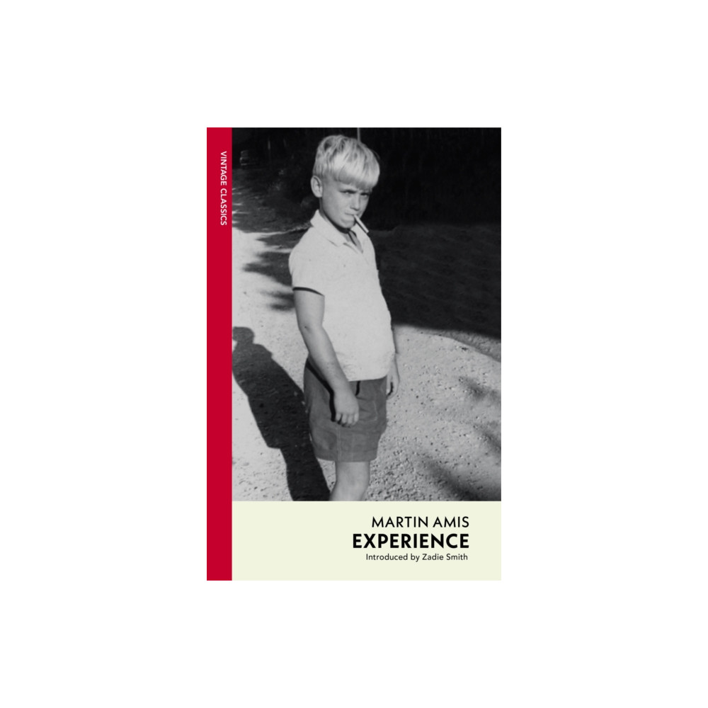 Produktbild för Experience (häftad, eng)