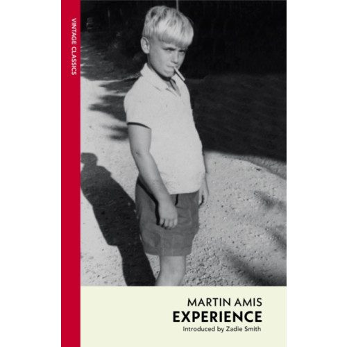Vintage Publishing Experience (häftad, eng)