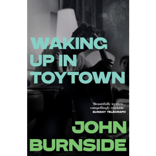 Vintage Publishing Waking Up in Toytown (häftad, eng)