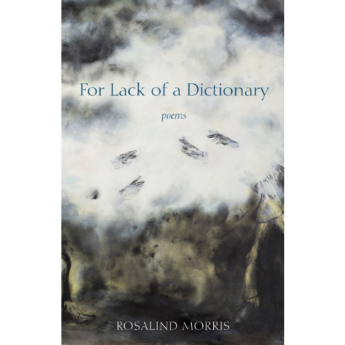 Fordham university press For Lack of a Dictionary (häftad, eng)