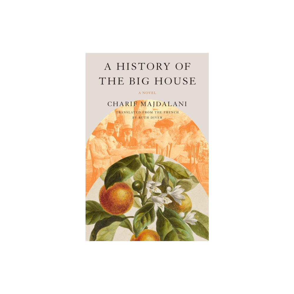 Produktbild för A History of the Big House (häftad, eng)