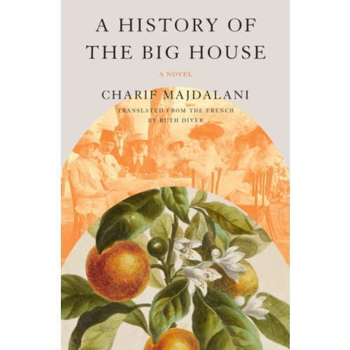 Other Press LLC A History of the Big House (häftad, eng)