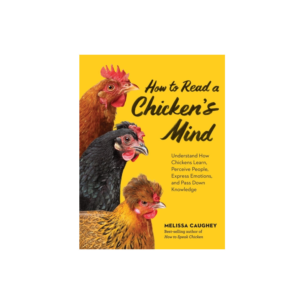 Produktbild för How to Read a Chicken's Mind (häftad, eng)
