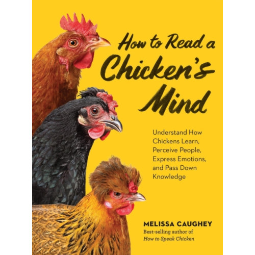 Workman Publishing How to Read a Chicken's Mind (häftad, eng)