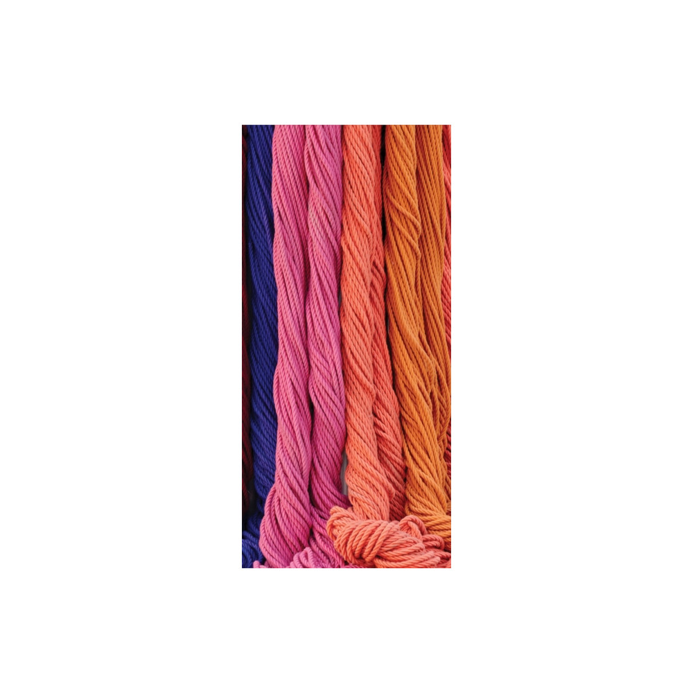 Produktbild för Sheila Hicks: Radical Vertical Inquiries (inbunden, eng)