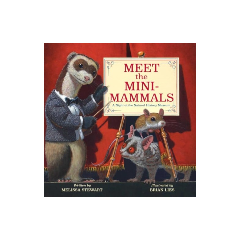 Produktbild för Meet the Mini-Mammals (inbunden, eng)