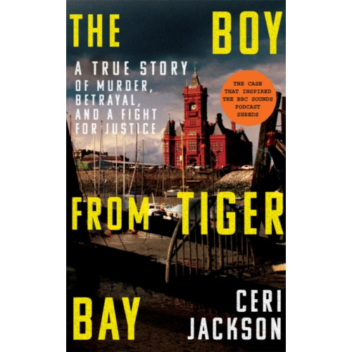 Amazon Publishing The Boy from Tiger Bay (häftad, eng)