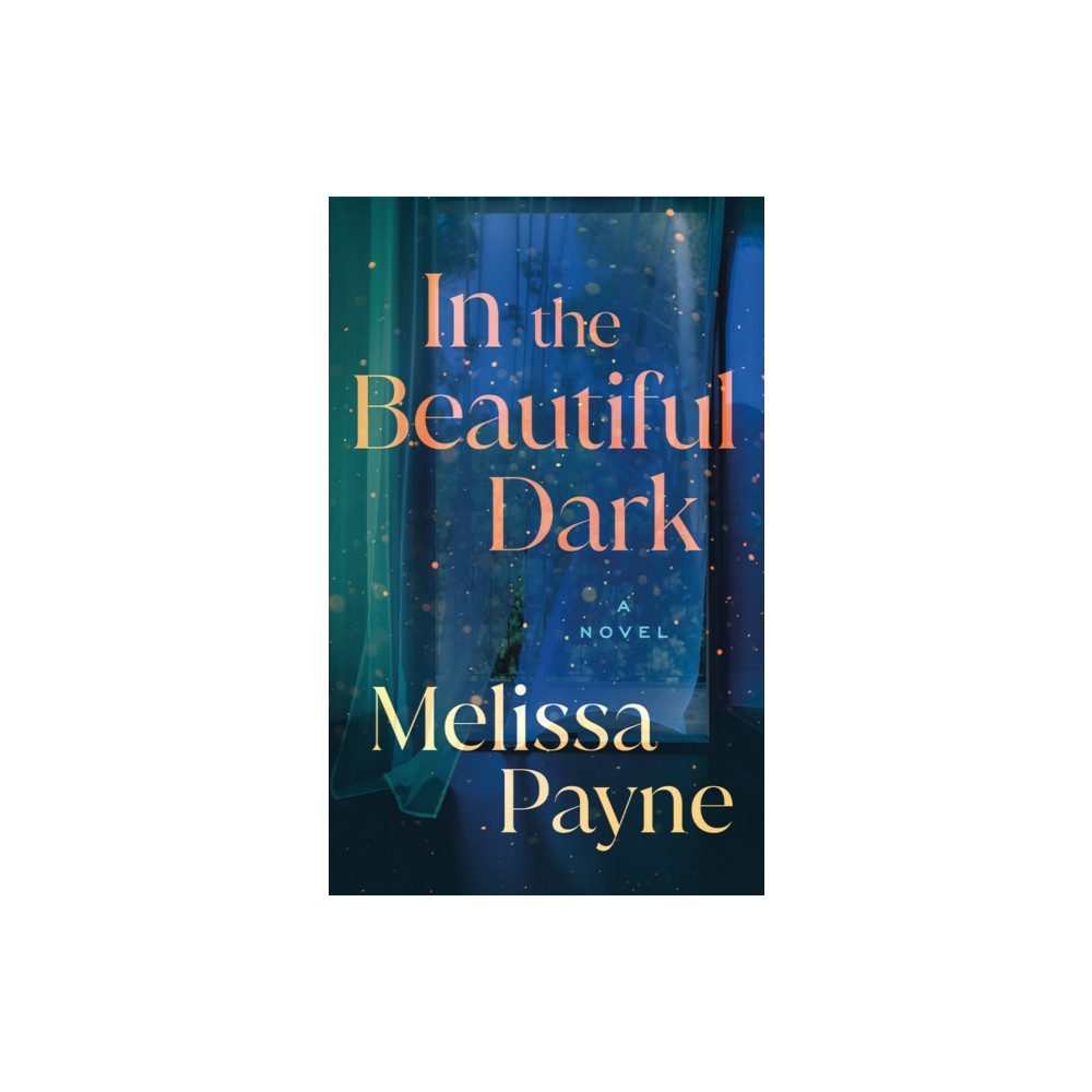 Produktbild för In the Beautiful Dark (häftad, eng)