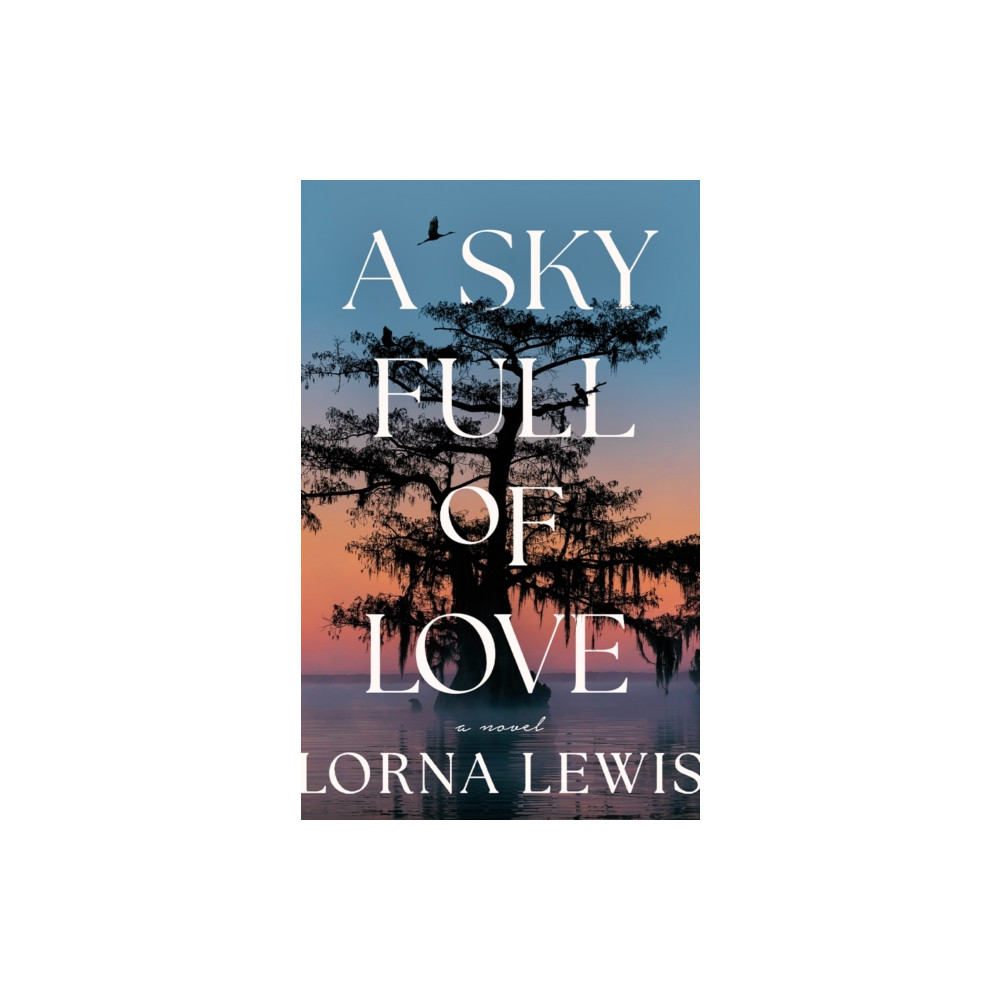 Produktbild för A Sky Full of Love (häftad, eng)