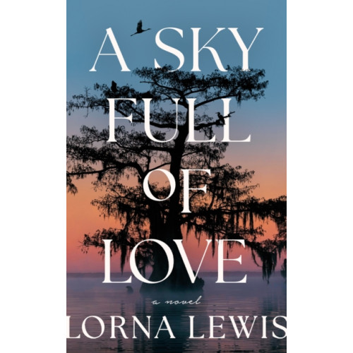 Amazon Publishing A Sky Full of Love (häftad, eng)