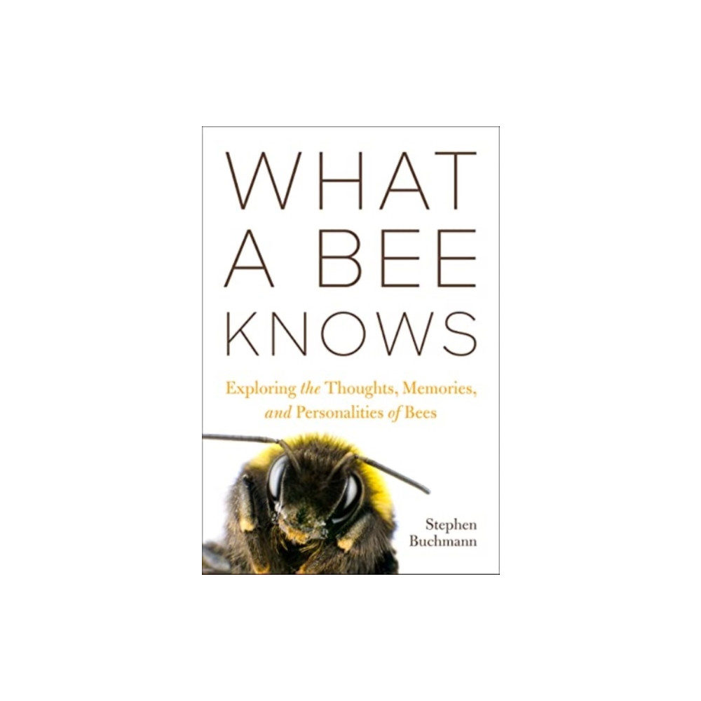 Produktbild för What a Bee Knows (häftad, eng)