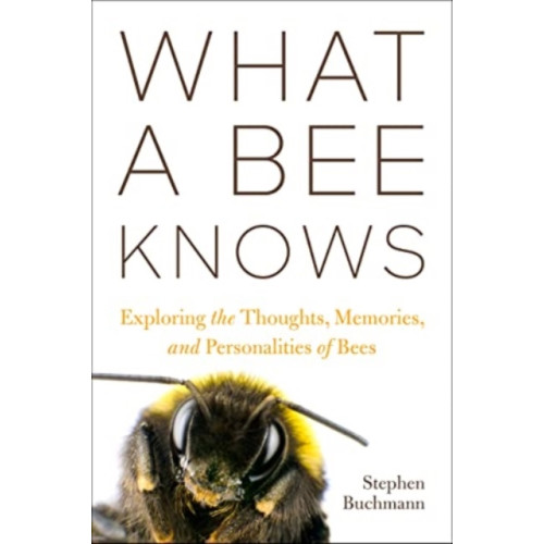 Princeton University Press What a Bee Knows (häftad, eng)
