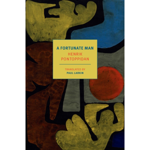 New York Review Books A Fortunate Man (häftad, eng)