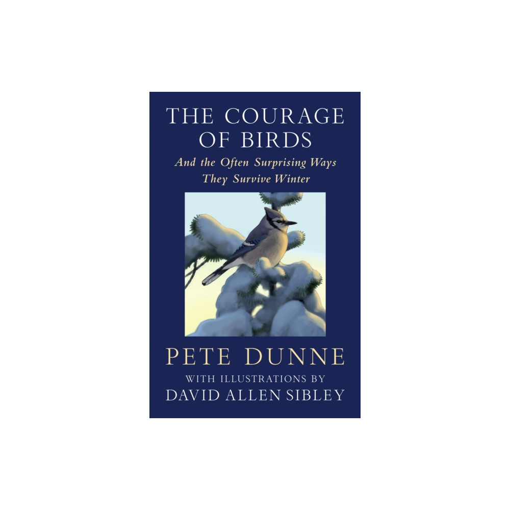 Produktbild för The Courage of Birds (inbunden, eng)