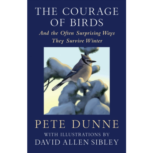 Chelsea Green Publishing Co The Courage of Birds (inbunden, eng)
