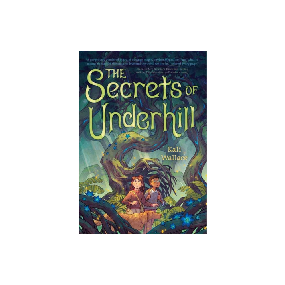 Produktbild för The Secrets of Underhill (inbunden, eng)