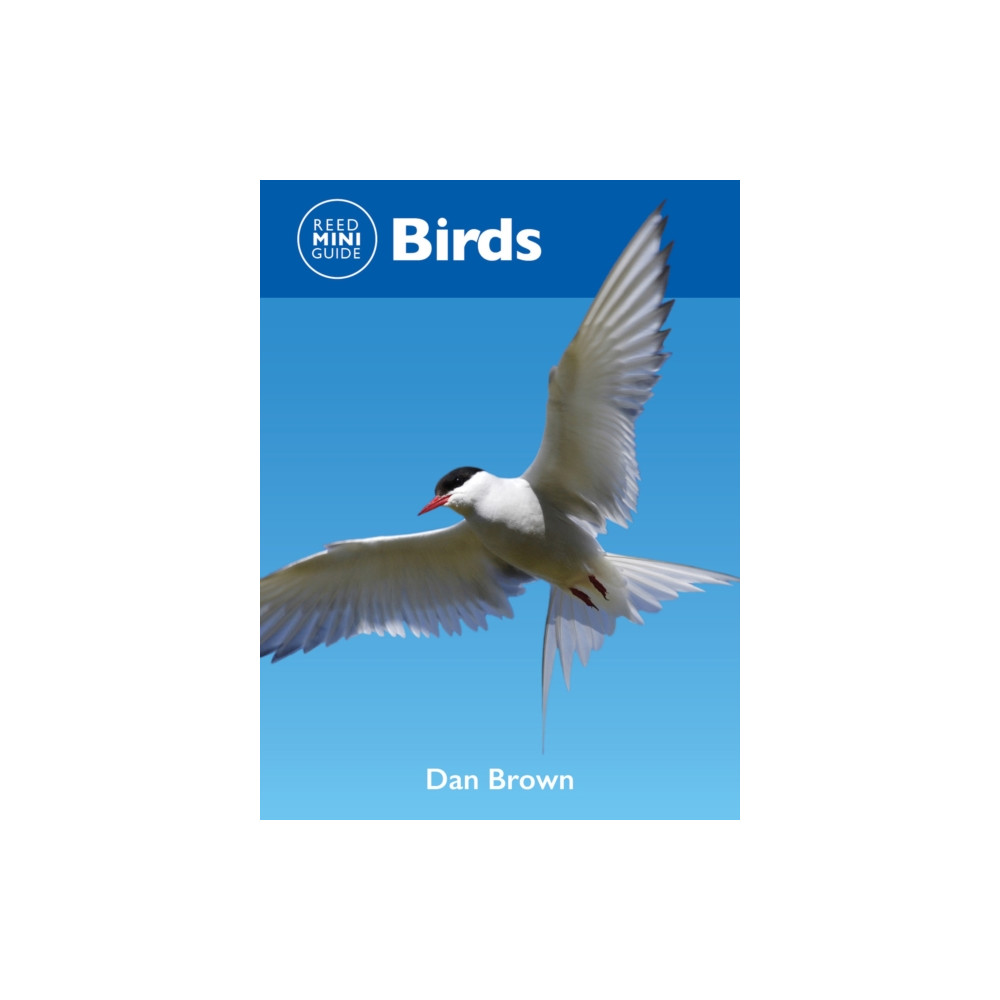 Produktbild för Reed Mini Guide: Birds (häftad, eng)