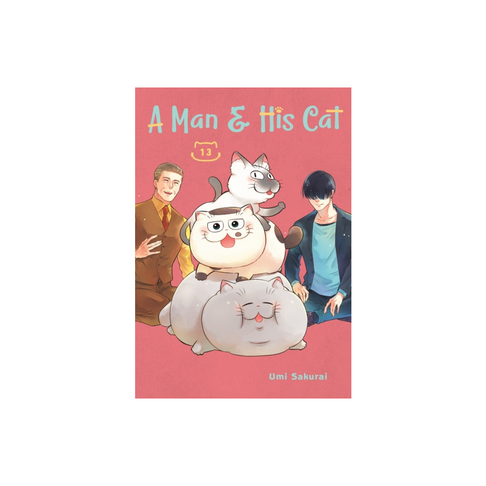 Produktbild för A Man and His Cat 13 (häftad, eng)