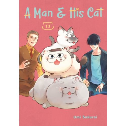 Square Enix A Man and His Cat 13 (häftad, eng)