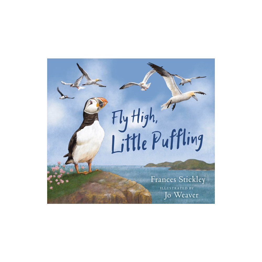 Produktbild för Fly High, Little Puffling (häftad, eng)