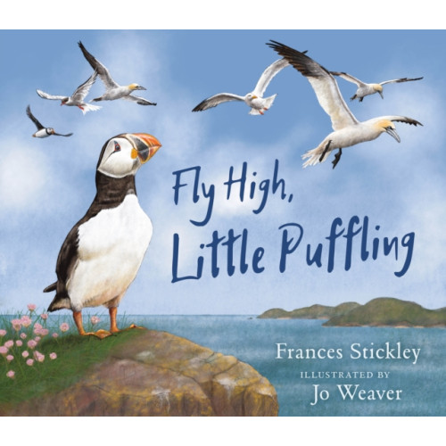 Birlinn General Fly High, Little Puffling (häftad, eng)