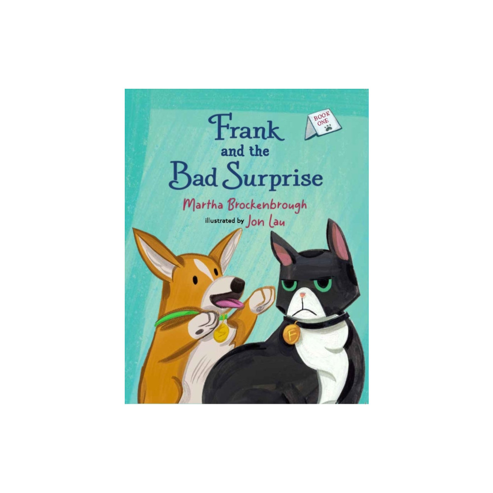 Produktbild för Frank and the Bad Surprise (häftad, eng)