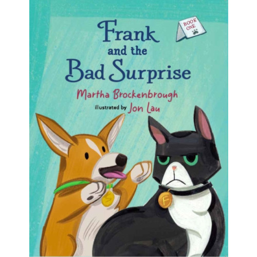 Levine Querido Frank and the Bad Surprise (häftad, eng)