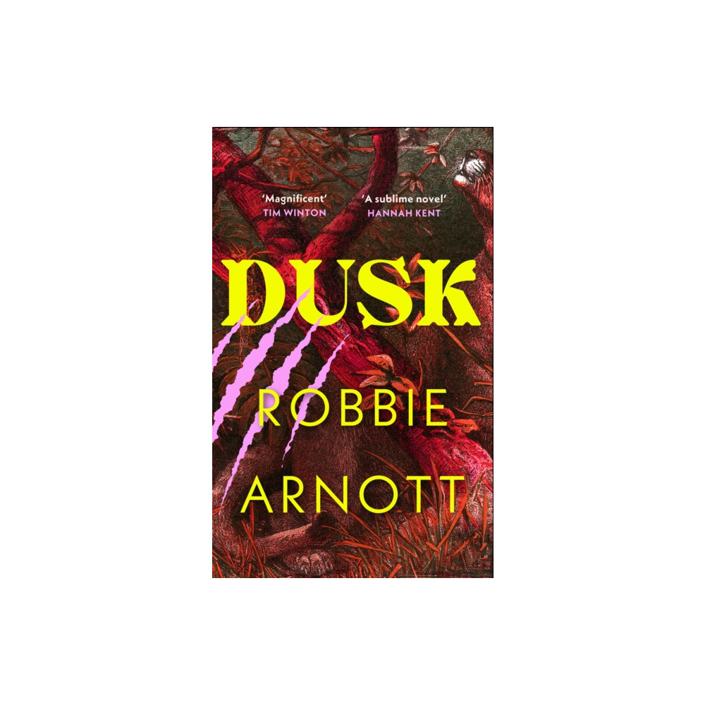 Produktbild för Dusk (inbunden, eng)