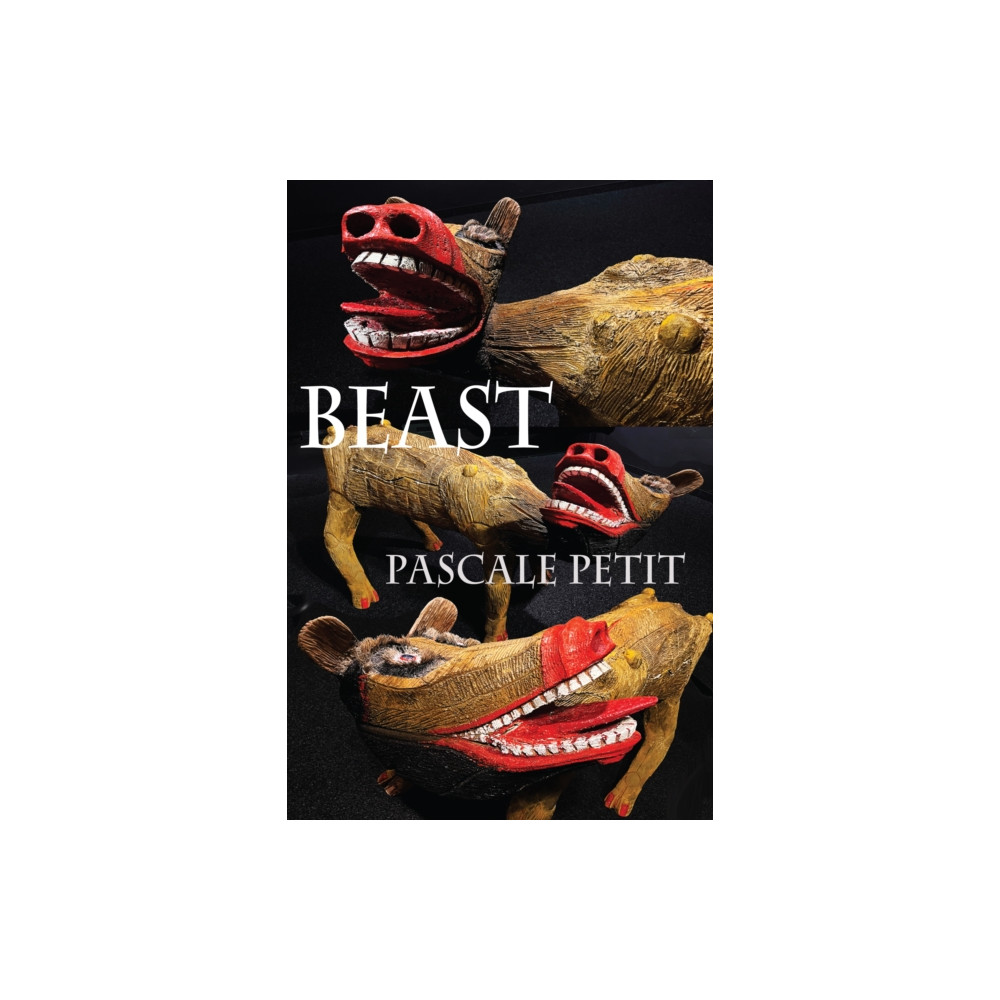 Produktbild för Beast (häftad, eng)