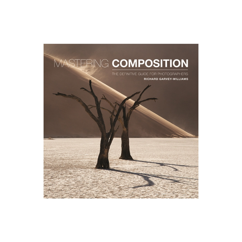 Produktbild för Mastering Composition (häftad, eng)