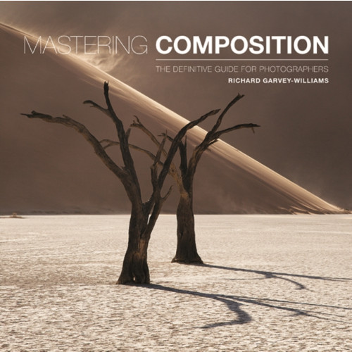 GMC Publications Mastering Composition (häftad, eng)