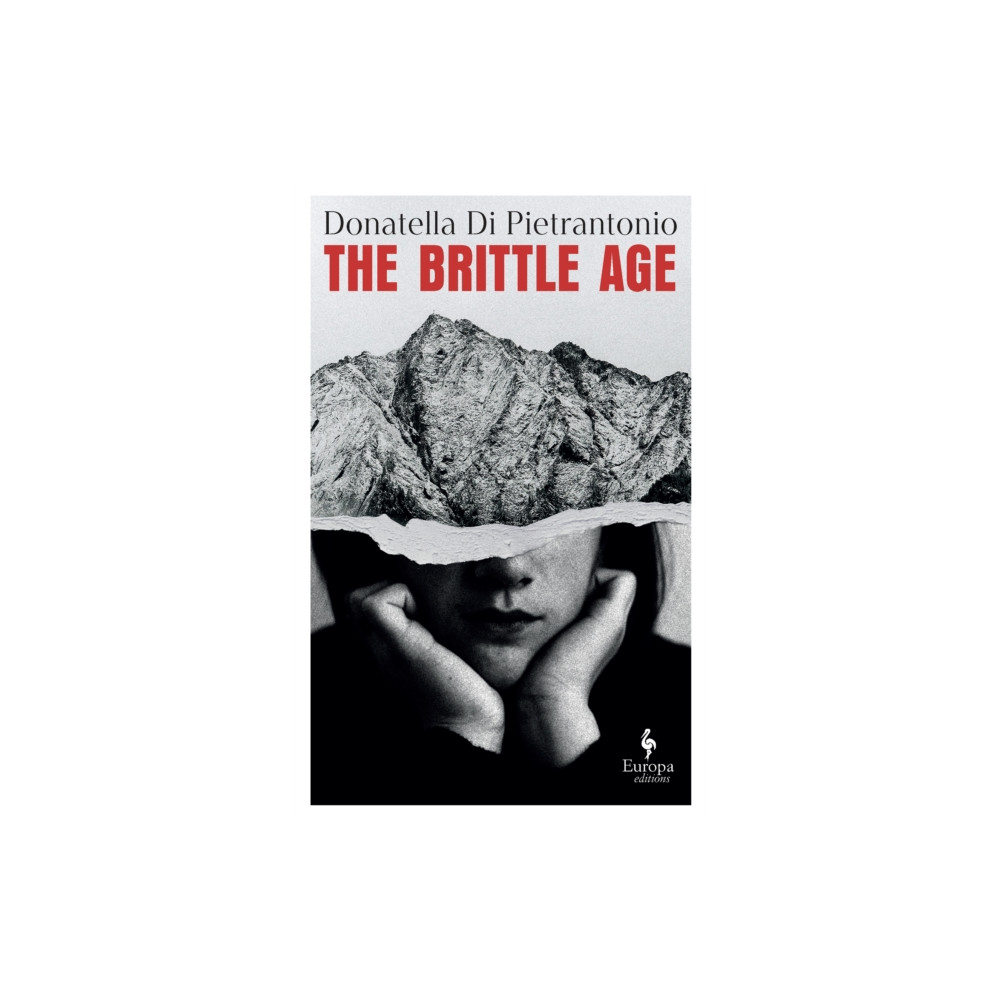 Produktbild för The Brittle Age (häftad, eng)