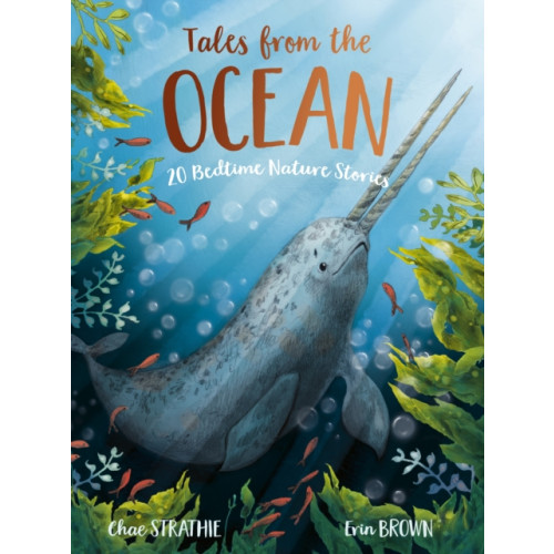Little Tiger Press Group Tales From the Ocean (häftad, eng)