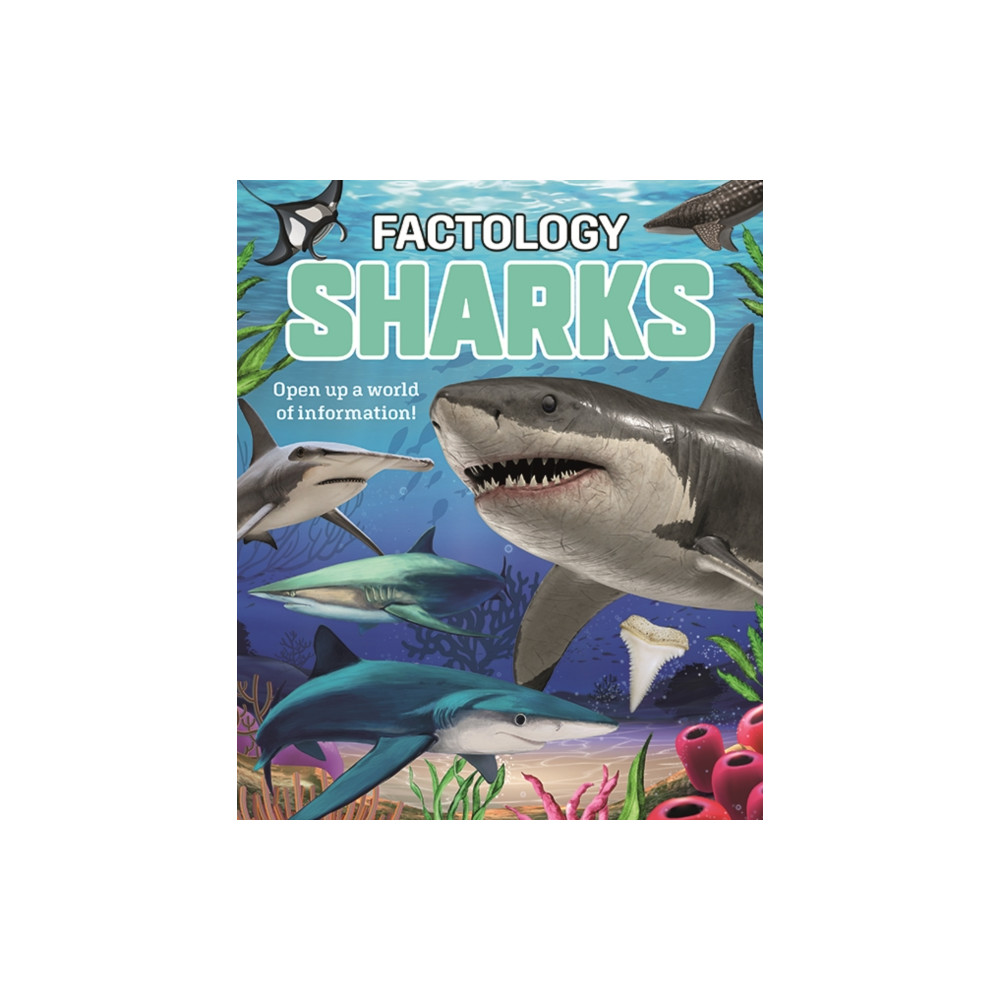 Produktbild för Factology: Sharks (inbunden, eng)