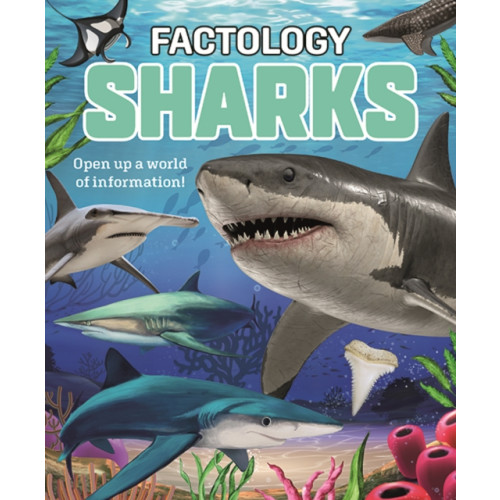 Button Books Factology: Sharks (inbunden, eng)