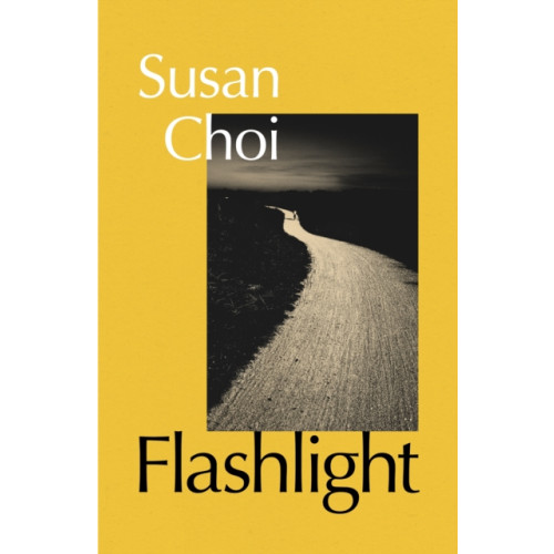 Vintage Publishing Flashlight (inbunden, eng)