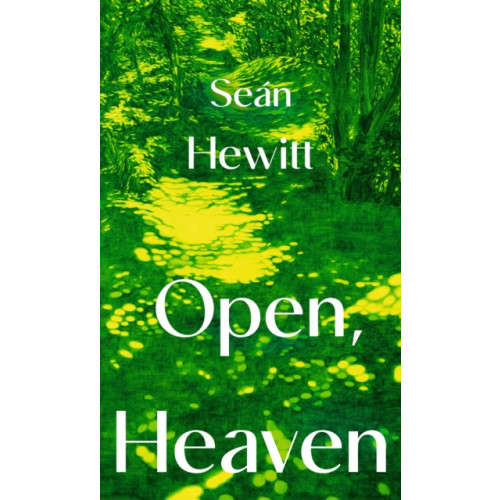 Vintage Publishing Open, Heaven (häftad, eng)