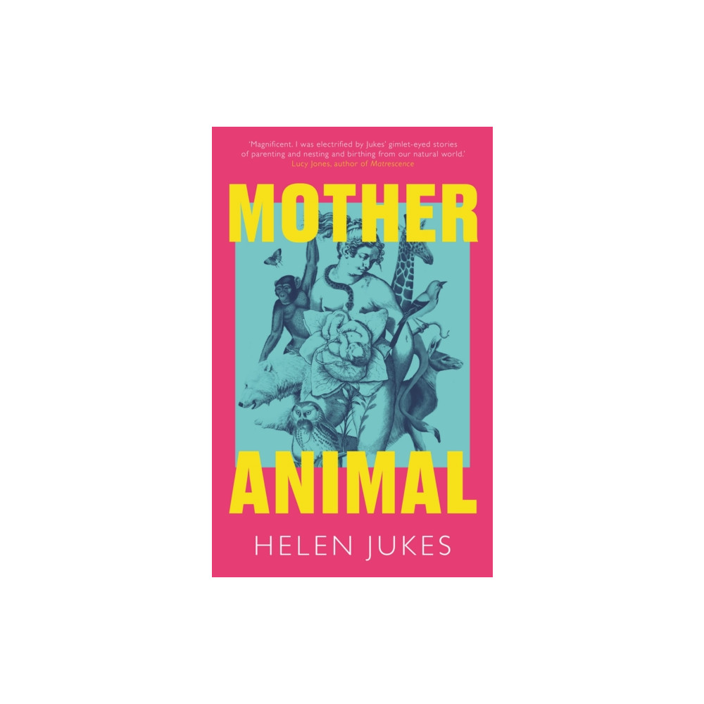 Produktbild för Mother Animal (inbunden, eng)