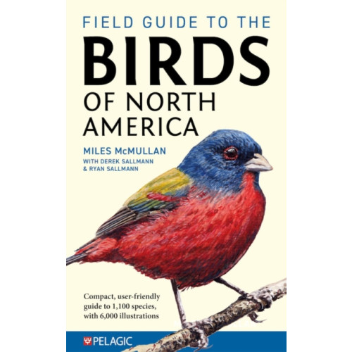 Pelagic Publishing Field Guide to the Birds of North America (häftad, eng)