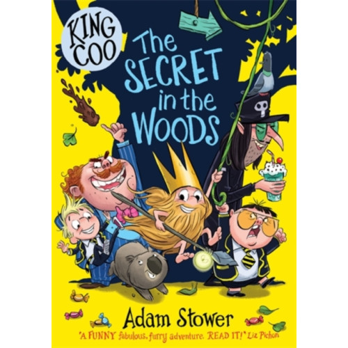 David Fickling Books King Coo: The Secret in the Woods (häftad, eng)