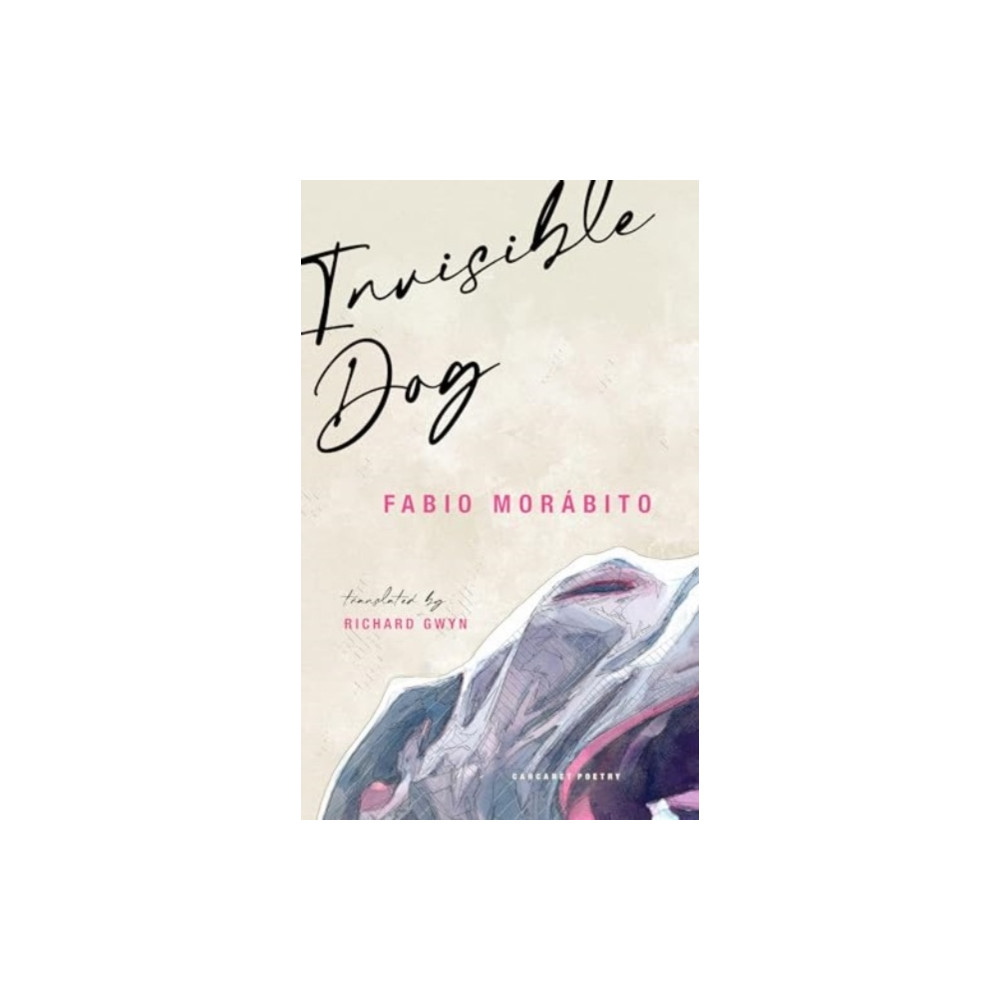 Produktbild för Invisible Dog (häftad, eng)