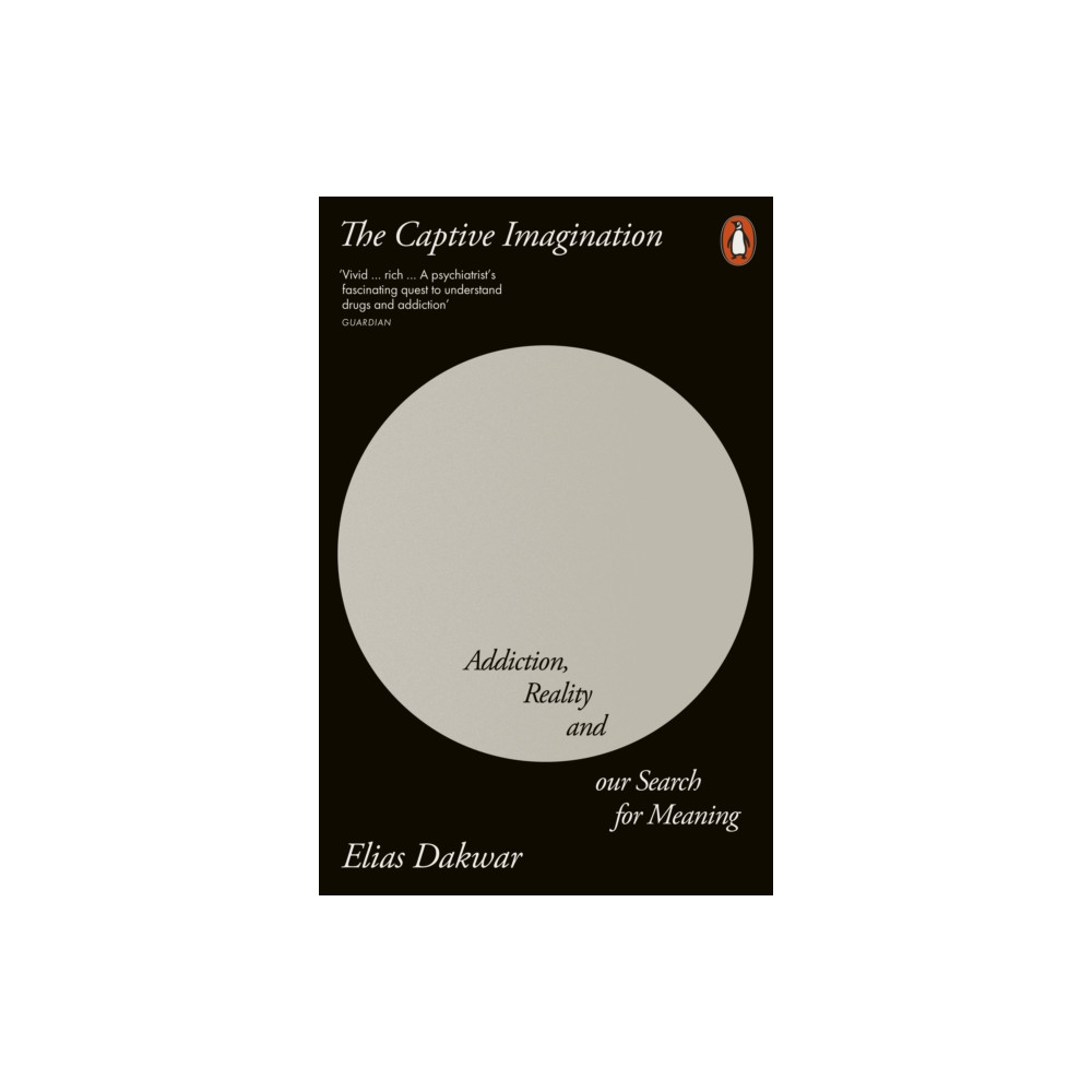 Produktbild för The Captive Imagination (häftad, eng)