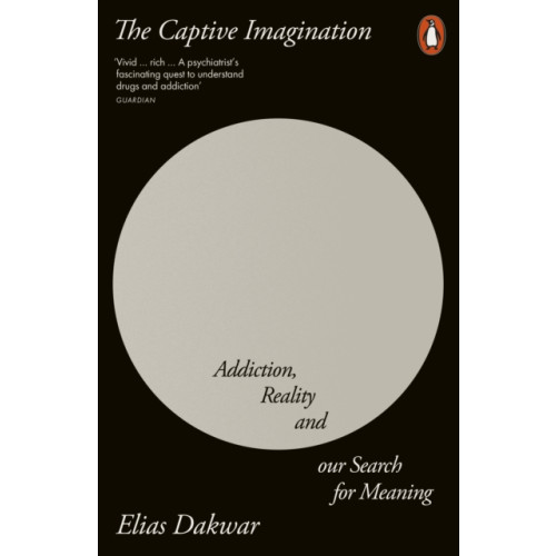 Penguin books ltd The Captive Imagination (häftad, eng)