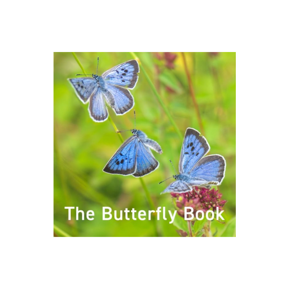 Produktbild för Nature Book Series: The Butterfly Book (inbunden, eng)
