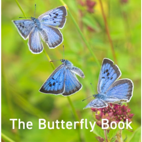 Graffeg Limited Nature Book Series: The Butterfly Book (inbunden, eng)