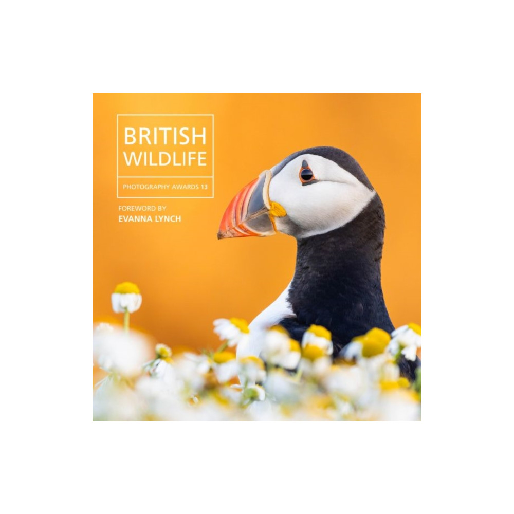 Produktbild för British Wildlife Photography Awards 13 (inbunden, eng)