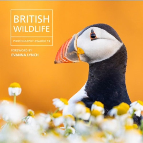 Graffeg Limited British Wildlife Photography Awards 13 (inbunden, eng)