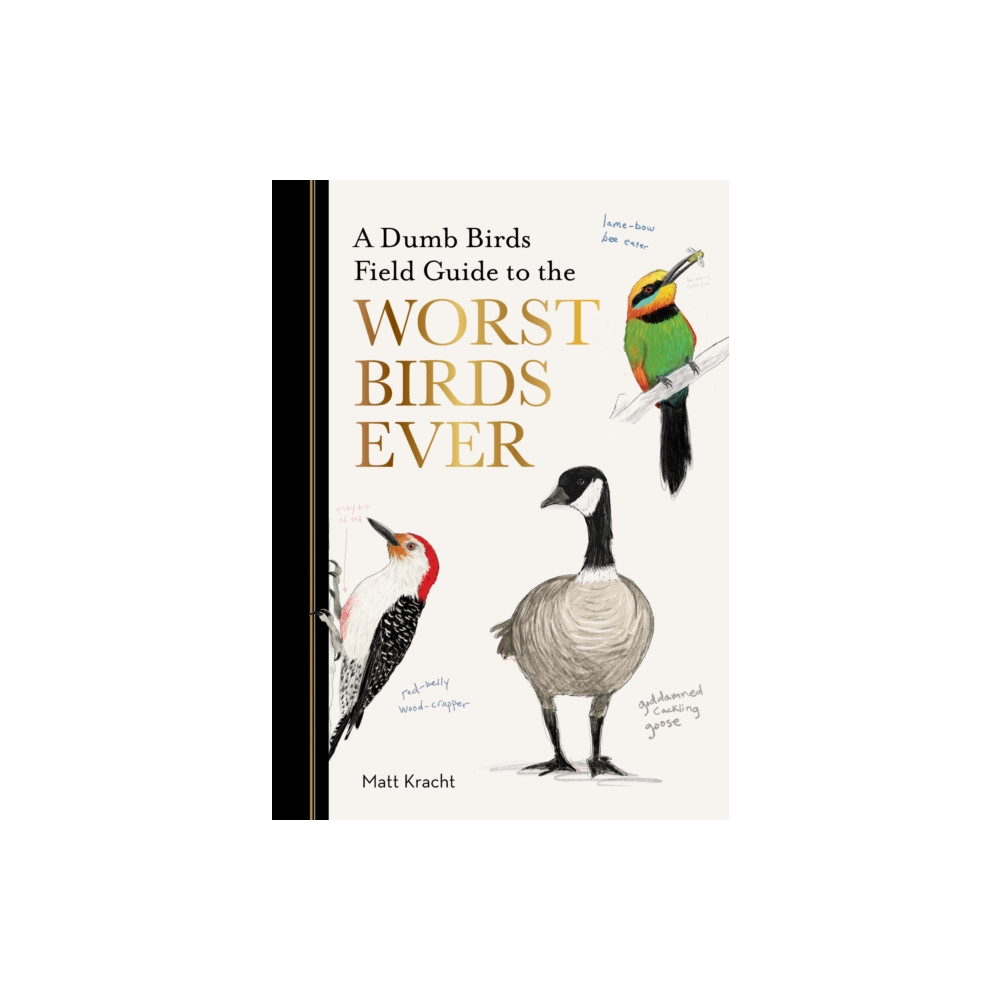 Produktbild för A Dumb Birds Field Guide to the Worst Birds Ever (häftad, eng)