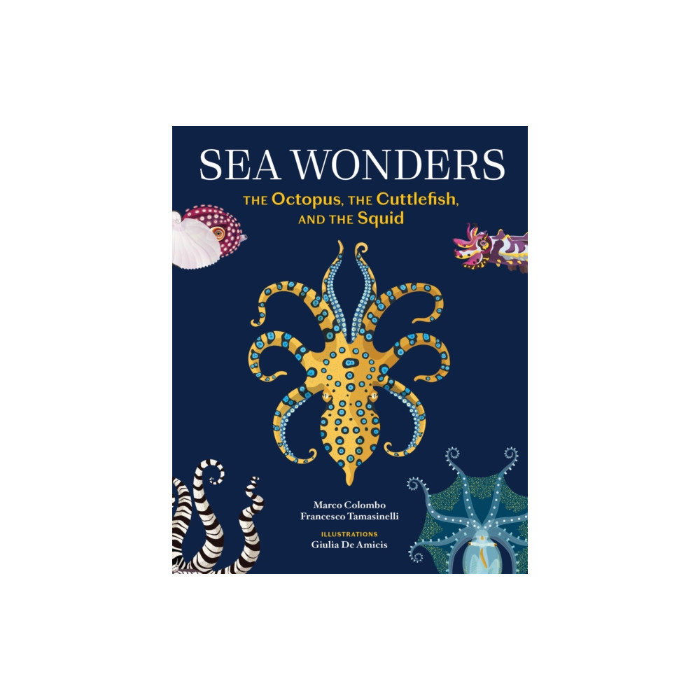 Produktbild för Sea Wonders (inbunden, eng)